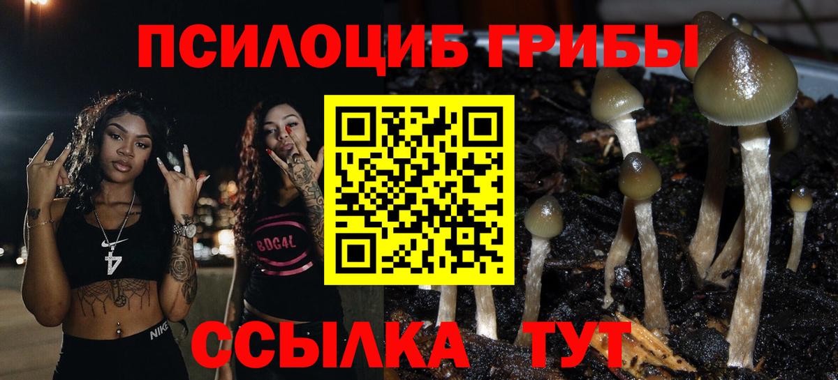 Галлюциногенные грибы MAGIC MUSHROOMS  Вход с VPN  Ярославль 