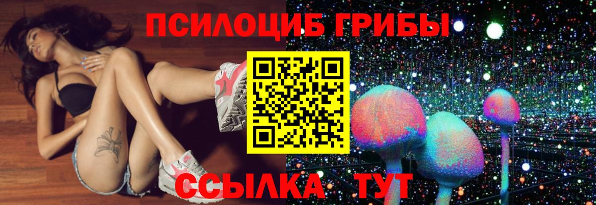 Галлюциногенные грибы Magic Shrooms Ярославль
